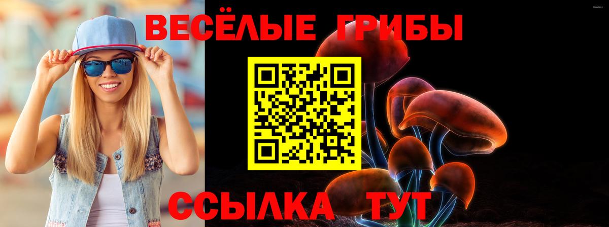Галлюциногенные грибы прущие грибы Осинники